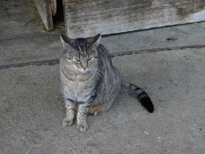 Grosses bild anzeigen 20060425 095.jpg